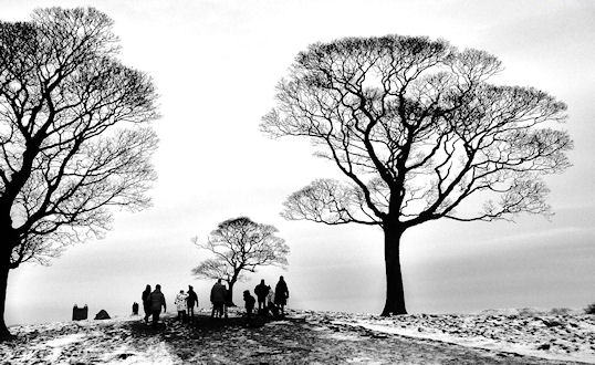 Walking through Skeleton Trees by Eleanor Leonne Bennett